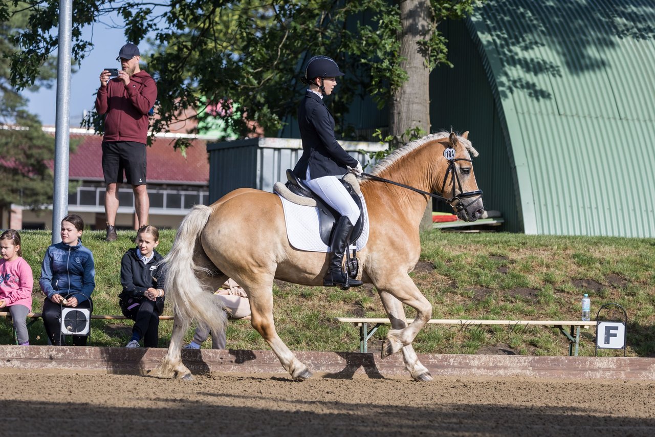 Bild 106 - Pony Akademie Turnier